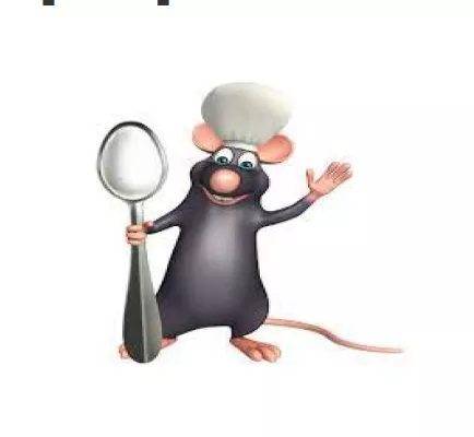 Opel Insignia GRAND SPORT BVA 1.5D 122 cv